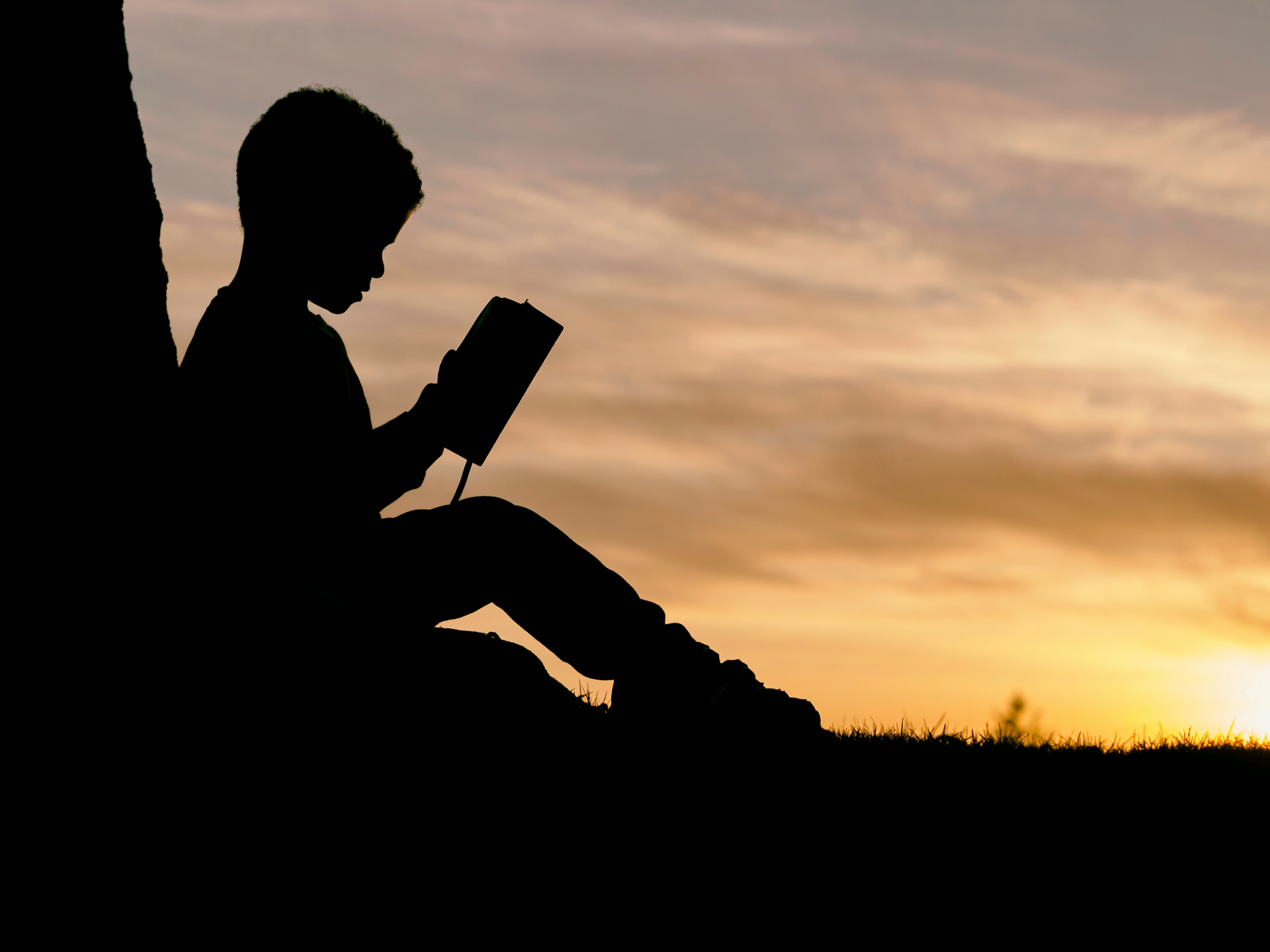 Child reading at sunset